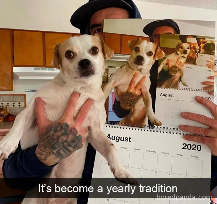 40 Funny And Cute Dog Snapchats That Will Hopefully Make Your Day
