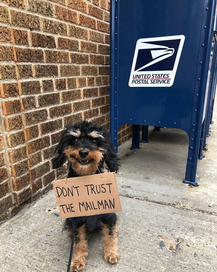 Dog Protests Annoying Everyday Things With Funny Signs (12 Pics)