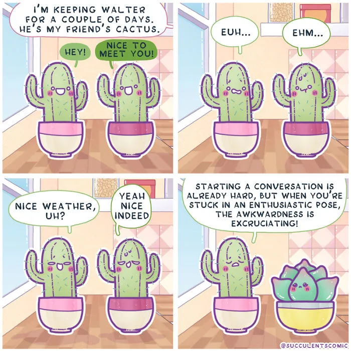 Hello!