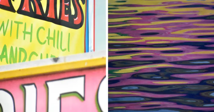 Can You Guess What The Subjects Of These Pictures Are?