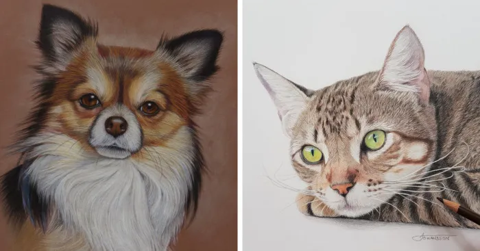 My Realistic Drawings