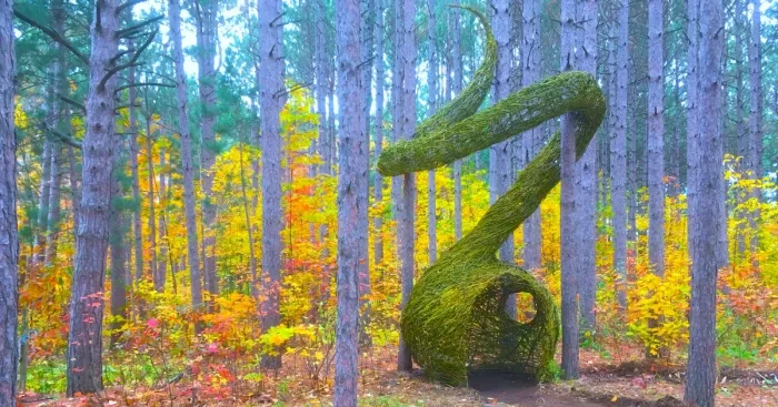 We Made An Art Installation In 5 Days During The Land Art Festival