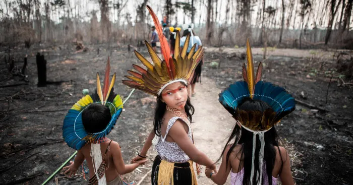 I Traveled To Burning Amazon Forest And Had My Very First Ayahuasca Ceremony