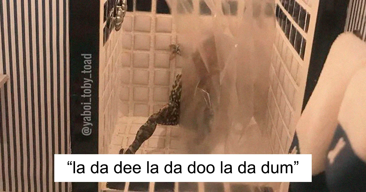 Esta mujer sigue fotografiando a su sapo haciendo cosas en una casa de muñecas, y a la gente le encanta
