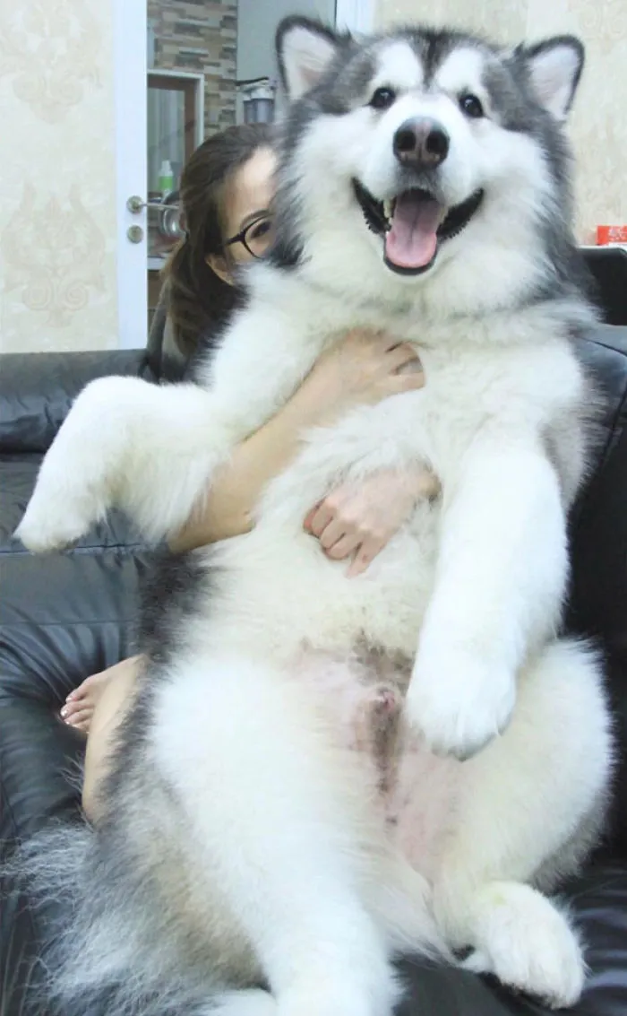 I Know You Guys Want To Hug Me Like This. Am I Right?