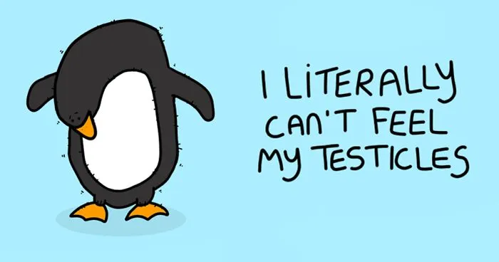 17 Pics Of Funny Grumpy Animals That I Will Continue To Draw Each Day Throughout 2020
