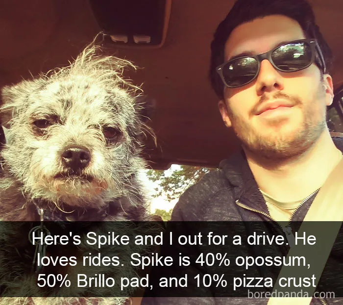 40 Funny And Cute Dog Snapchats That Will Hopefully Make Your Day