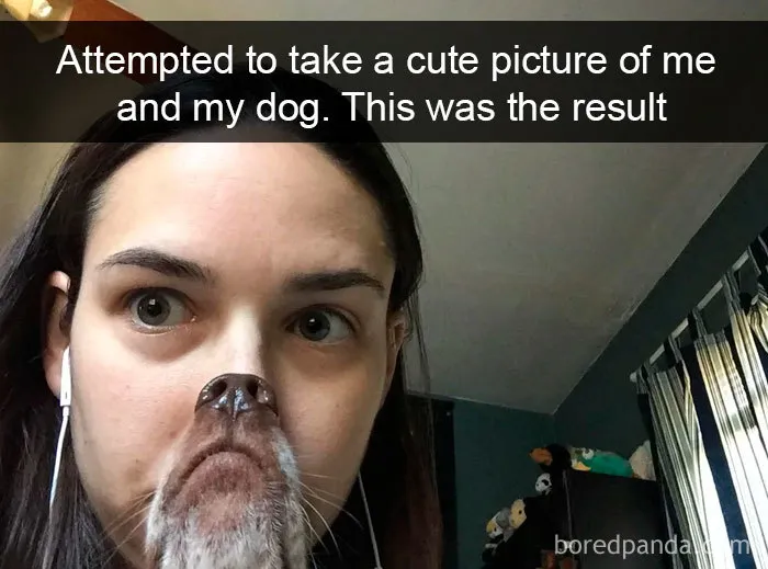 40 Funny And Cute Dog Snapchats That Will Hopefully Make Your Day