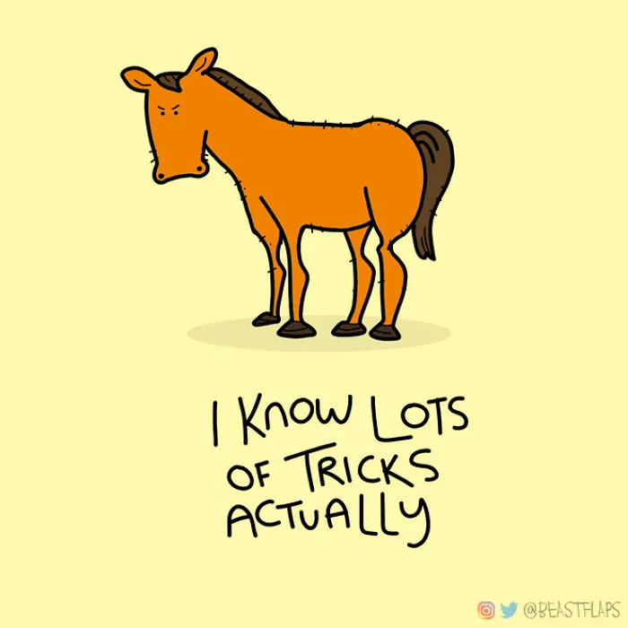 17 Pics Of Funny Grumpy Animals That I Will Continue To Draw Each Day Throughout 2020