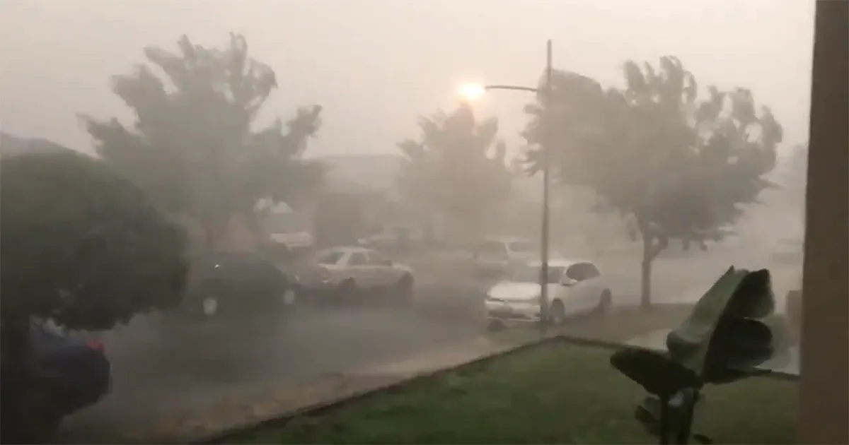 Al fin cae la lluvia en Australia y apaga más de 30 incendios