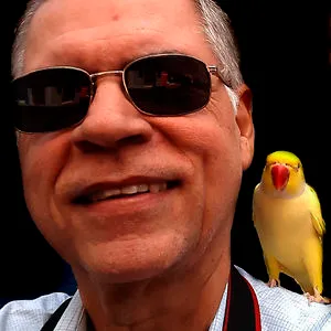 jose americo silvares costa