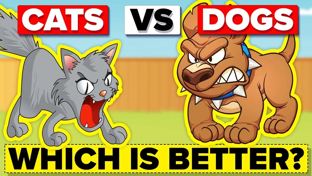 Why Dogs Are Better Than Cats?