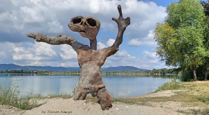 The Reincarnation Of Driftwood