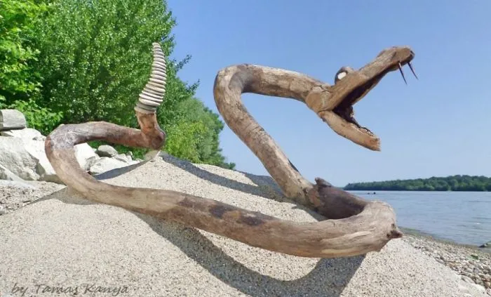 The Reincarnation Of Driftwood