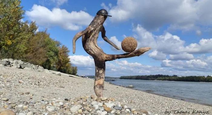 The Reincarnation Of Driftwood