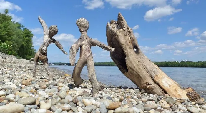 The Reincarnation Of Driftwood