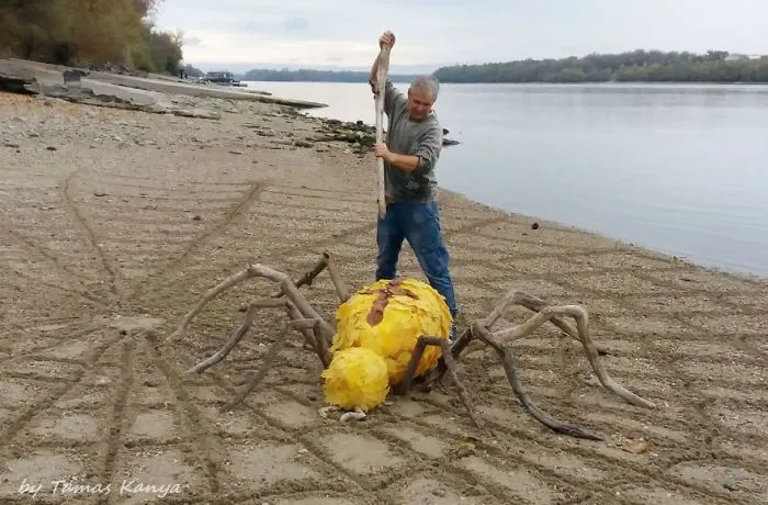 The Reincarnation Of Driftwood