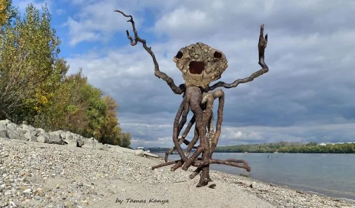 The Reincarnation Of Driftwood
