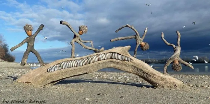 The Reincarnation Of Driftwood