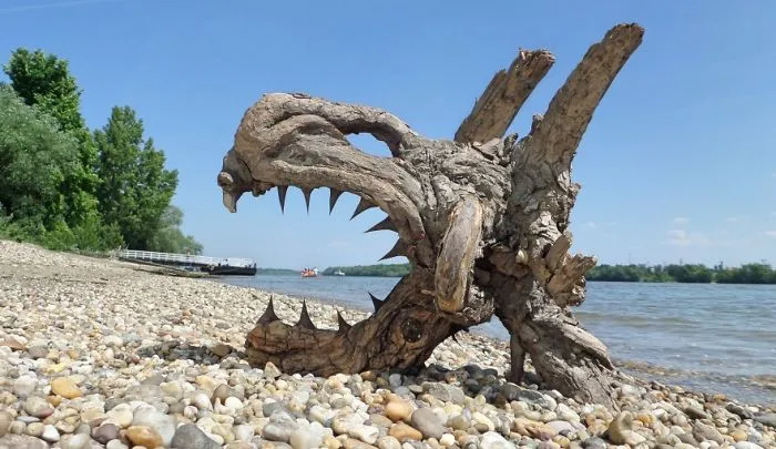 The Reincarnation Of Driftwood