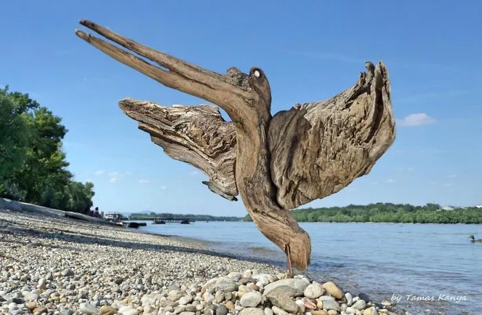 The Reincarnation Of Driftwood