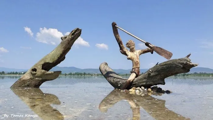 The Reincarnation Of Driftwood