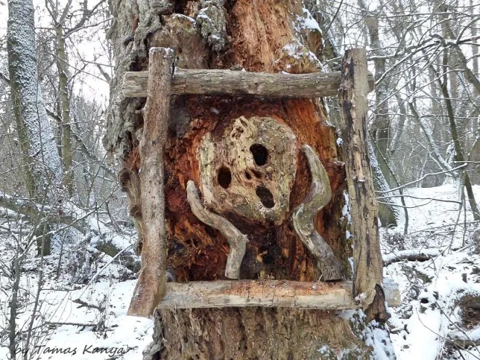 The Reincarnation Of Driftwood