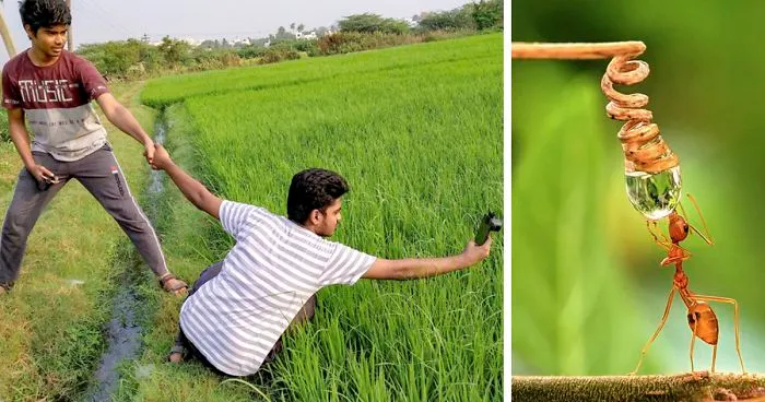 20-Year-Old Indian Guy Takes Incredible Macro Pics Using His Smartphone, Shows How You Could Do It Too (30 Pics)