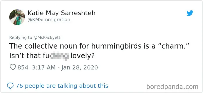 Someone Starts A Twitter Thread On The Most Random Facts And 35 People Deliver