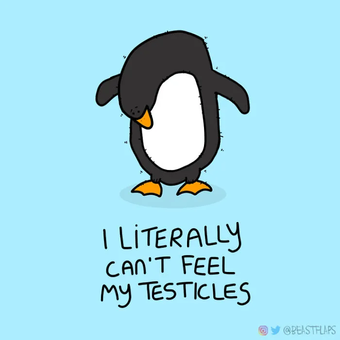 17 Pics Of Funny Grumpy Animals That I Will Continue To Draw Each Day Throughout 2020