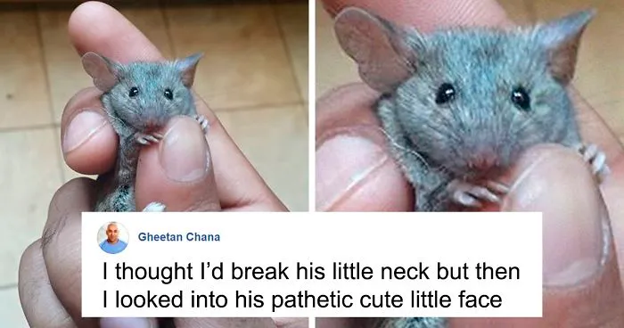People Share Pics And Stories Of Pests They Saved Instead Of Killing