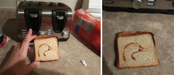 Nos compramos una tostadora de 2ª mano y hasta que no la usamos no vimos que tenía patitos
