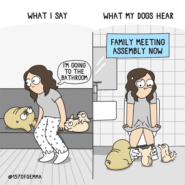 Adorable Comics That Hilariously Sum Up What It’s Like Living With A Dog (New Pics)