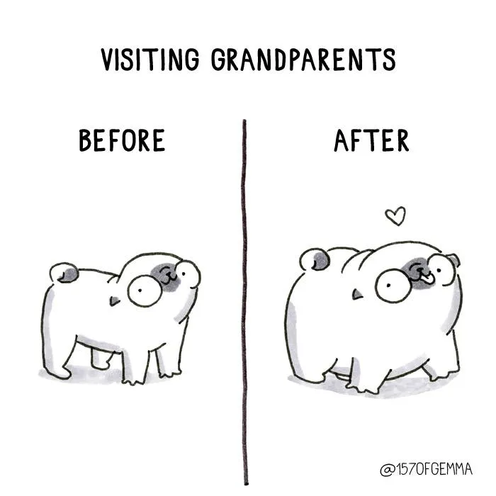 Adorable Comics That Hilariously Sum Up What It’s Like Living With A Dog (New Pics)