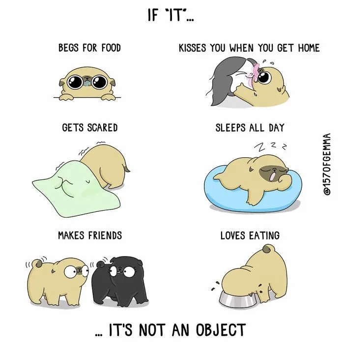 Adorable Comics That Hilariously Sum Up What It’s Like Living With A Dog (New Pics)