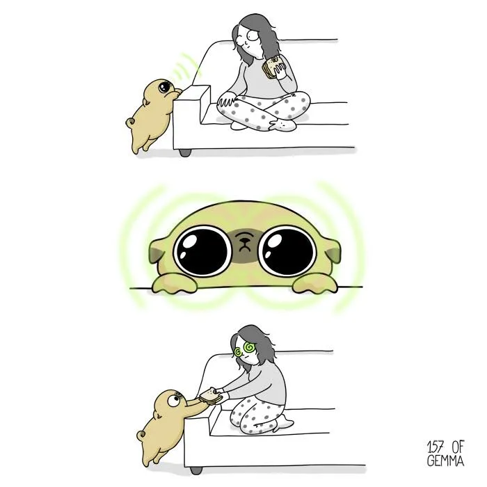 Adorable Comics That Hilariously Sum Up What It’s Like Living With A Dog (New Pics)