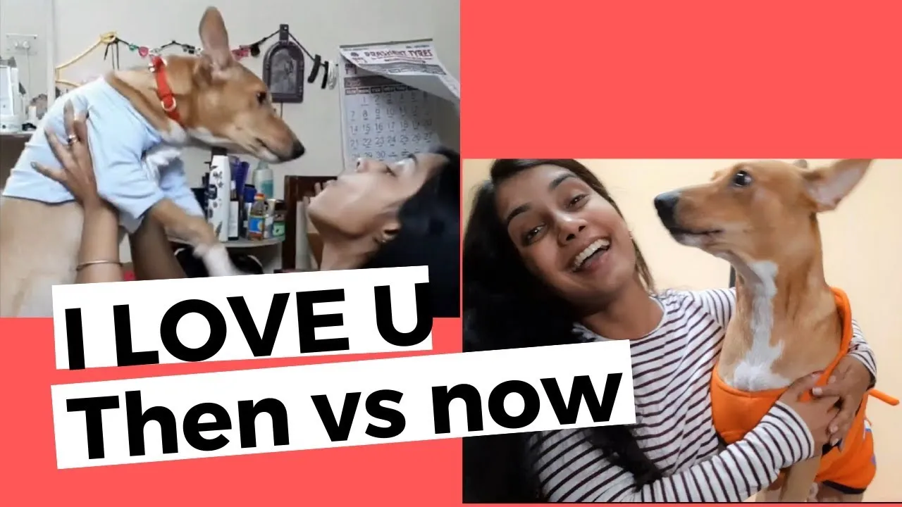 My Dog Says "I Love You" | When He Was Just 3 Months Old vs. Now When He Is 1 Year Old