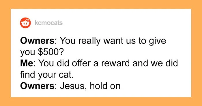 Guy Finds Lost Cat, Brings It To Its Owners, Asks For $500 Promised Reward, Gets Sneered At And Judged