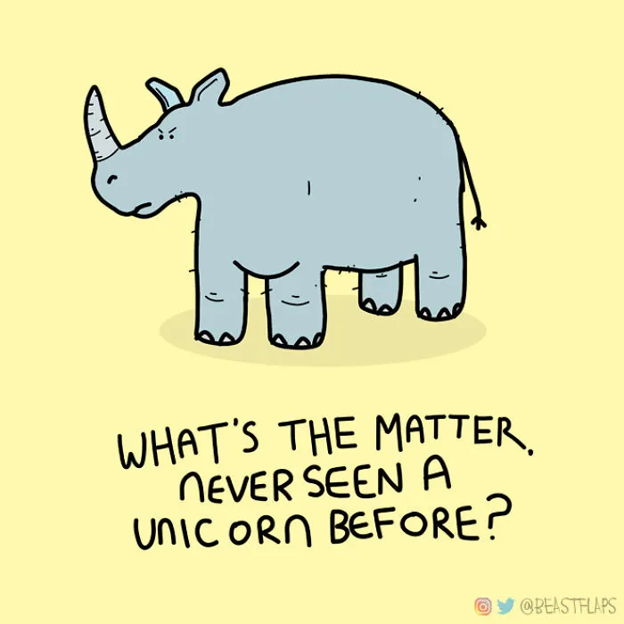 17 Pics Of Funny Grumpy Animals That I Will Continue To Draw Each Day Throughout 2020