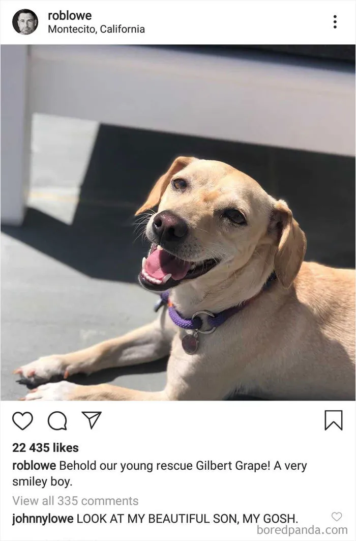 Rob Lowe’s Sons Keep Trolling Him On Instagram, And It’s Hilarious (26 New Pics)