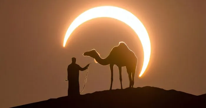 Photographer Shoots A Stunning Photograph That Took Ages To Plan