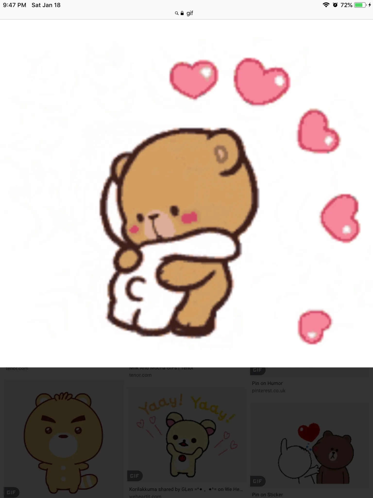 These Cute Bears Look Like Me With My Bestie