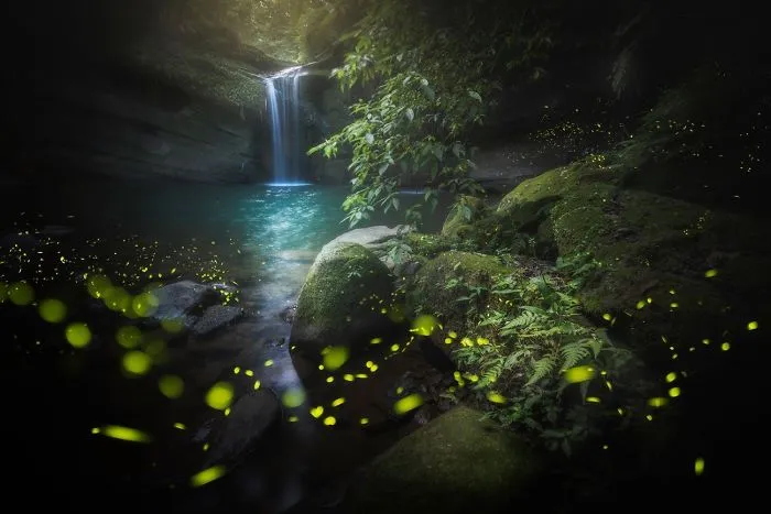 Wangu Falls, Northern Taiwan By Kuo Zei Yang