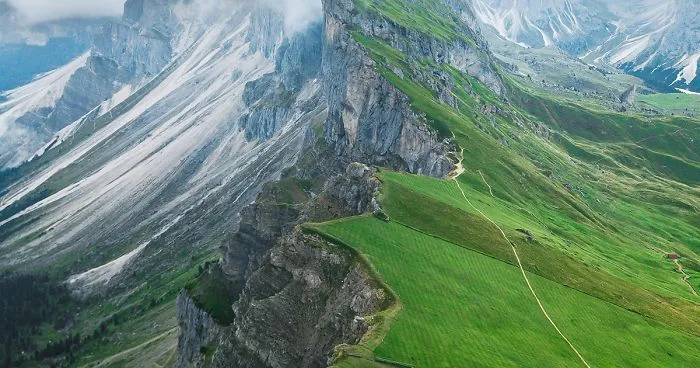 50 Photographs From The Nature 2020 Competition