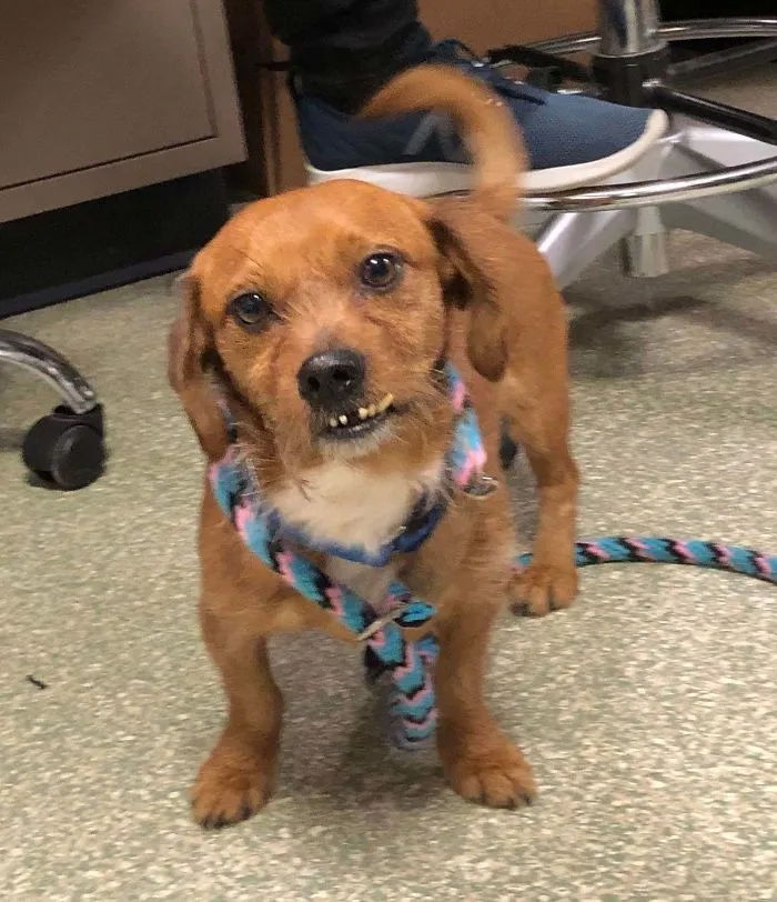 My Grandma Just Adopted Him
