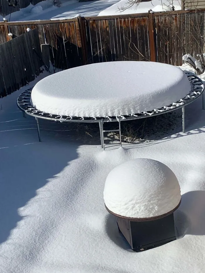 Perfect Snowfall