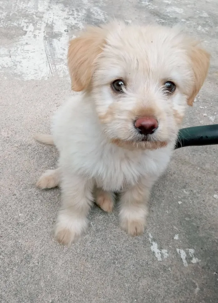 Se llama Link y estoy deseando ver cuanto crece