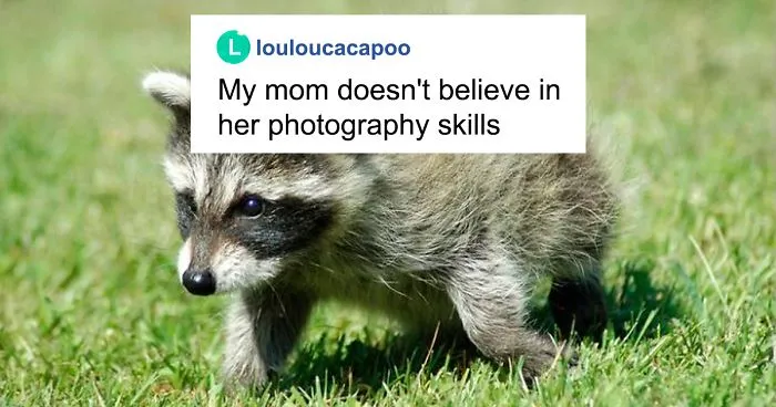 Mom Doesn't Believe Her Photos Are Any Good, So Her Son Posts Them On The Internet To See What Others Think