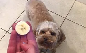 40 Times People Experienced Pareidolia And Captured It For Everyone To See