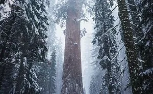 40 Of The Most Interesting Comparison Images (New Pics)